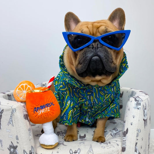 Spring Accessories for Pets: Hats, Glasses, and More