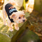 Parisian Pet 'Got Treats?' Novelty Dog Apparel – Fun Embroidered Pet Wear for Dogs & Cats, Black