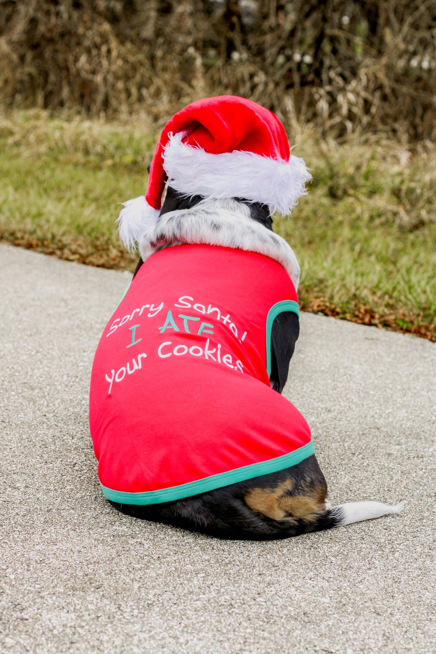 Parisian Pet 'Sorry Santa, I Ate Your Cookies' Christmas Shirt for Pets - Festive Dog & Cat Outfit, Red