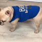 Parisian Pet 'Big Brother' Embroidered Pet T-Shirt – Cute Sibling Announcement Dog Shirt for Dogs & Cats, Blue