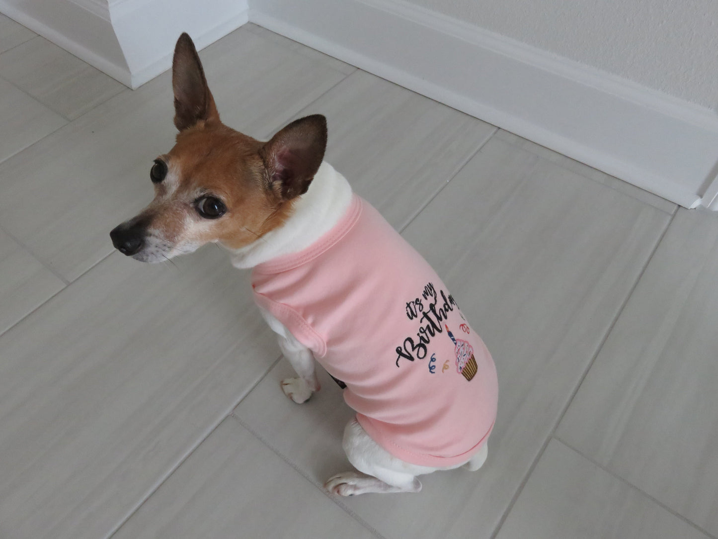 Parisian Pet 'Birthday Girl' Dog Shirt – Trendy and Breathable Party Outfit for Small Dogs & Cats, Pink