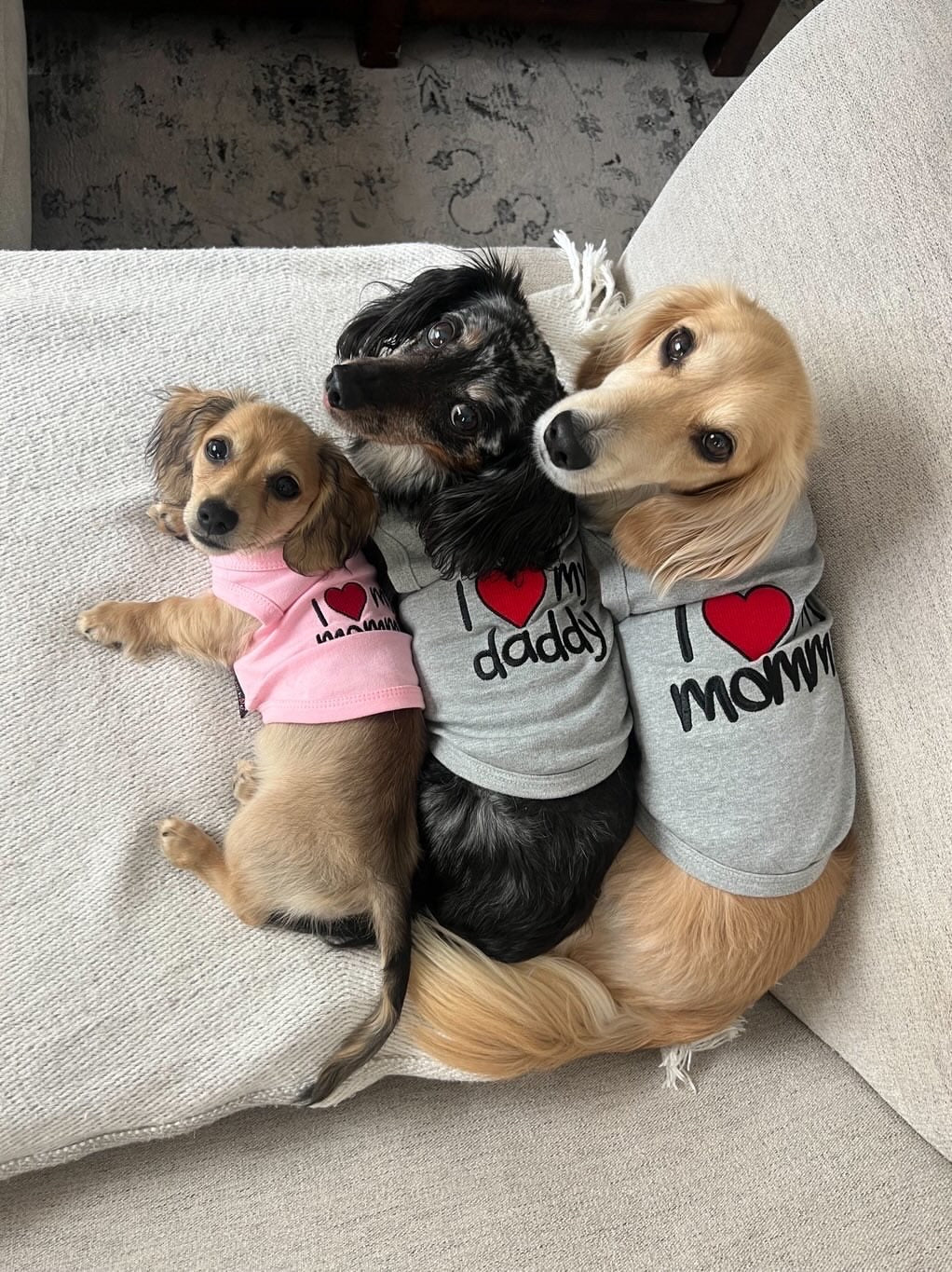 Parisian Pet 'I Love Mommy' Dog & Cat Shirt - Cute Pet T-Shirt, Pink-Valentine's Day