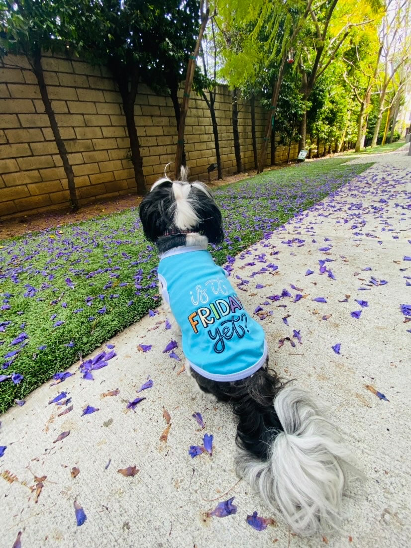 Parisian Pet 'Is It Friday Yet?' Embroidered Dog T-Shirt – Trendy Weekend Dog Apparel for Dogs & Cats, Light Blue