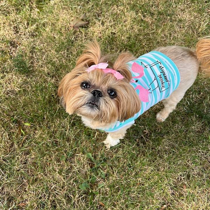 Parisian Pet 'Flamingos'  Dog Shirt – Lightweight & Breathable Summer Outfit for Small Dogs & Cats, Light Blue and White Stripes