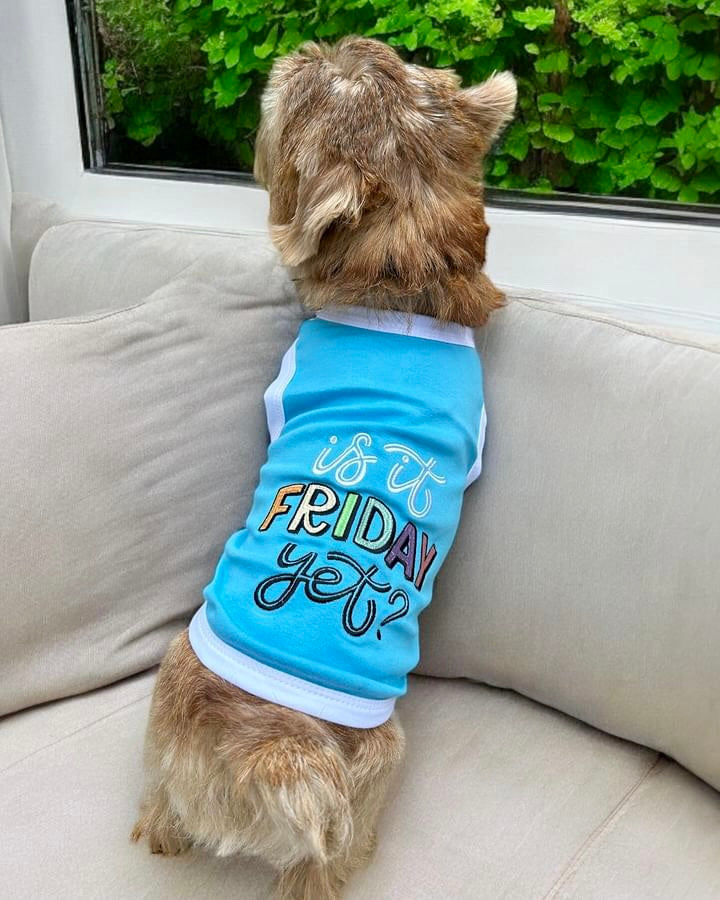 Parisian Pet 'Is It Friday Yet?' Embroidered Dog T-Shirt – Trendy Weekend Dog Apparel for Dogs & Cats, Light Blue