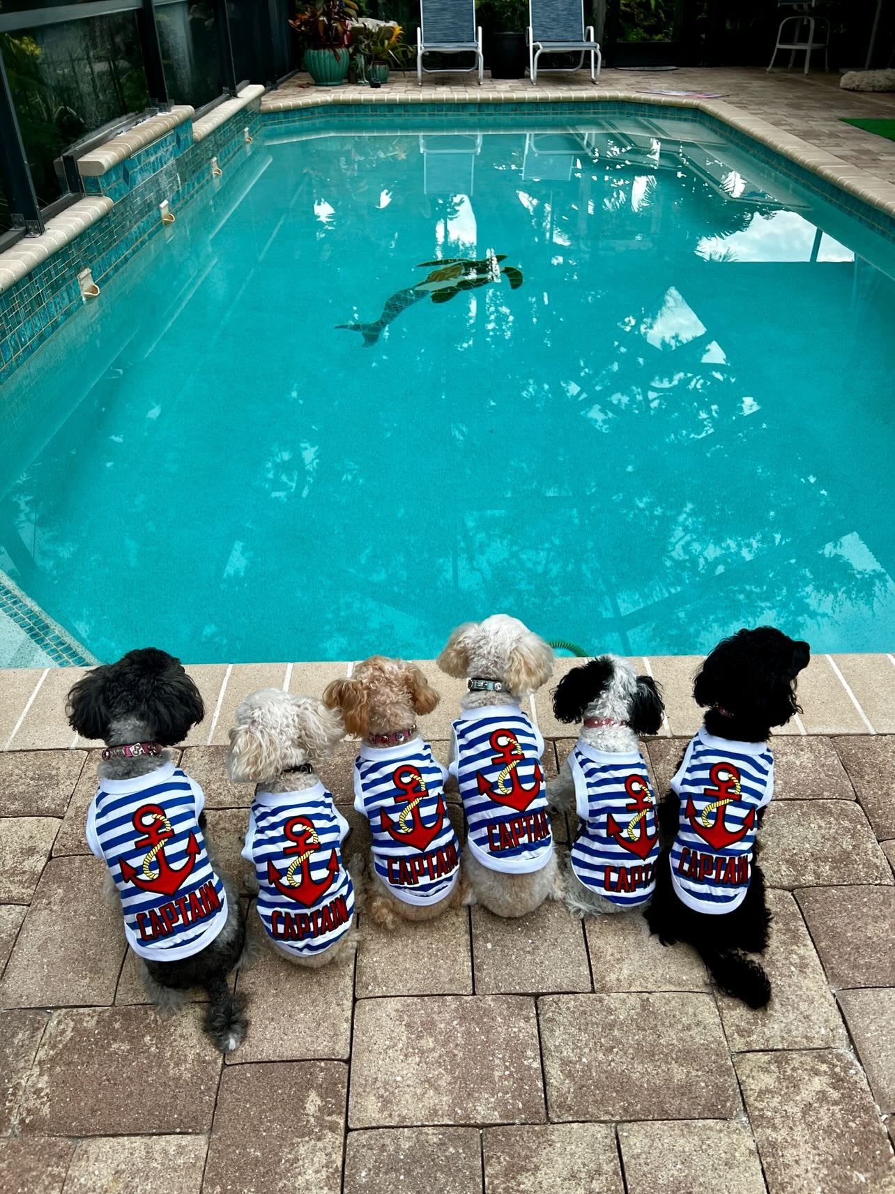 Parisian Pet 'Captain' Fun Sailor Dog Outfit – Soft and Breathable Nautical Pet Wear for Small Dogs & Cats, Blue & White Stripes