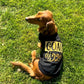 Parisian Pet 'Goal Digger' Motivational Dog Shirt – Trendy Black Embroidered Pet Apparel for Dogs & Cats