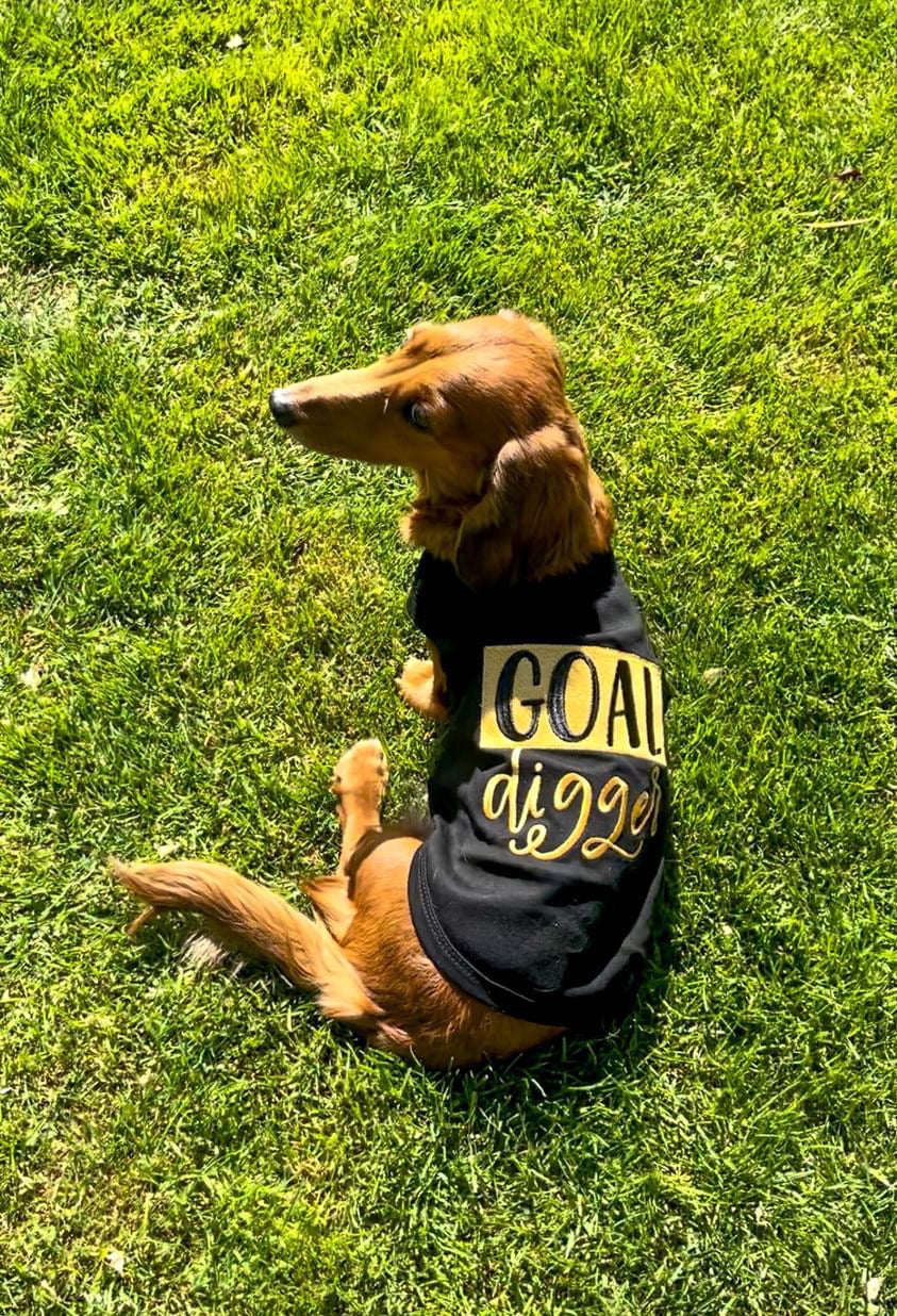 Parisian Pet 'Goal Digger' Motivational Dog Shirt – Trendy Black Embroidered Pet Apparel for Dogs & Cats