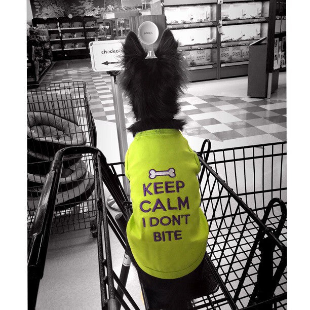 Parisian Pet 'Keep Calm' T-Shirt for Dogs & Cats – Fun & Relaxing Pet Apparel, Light Green