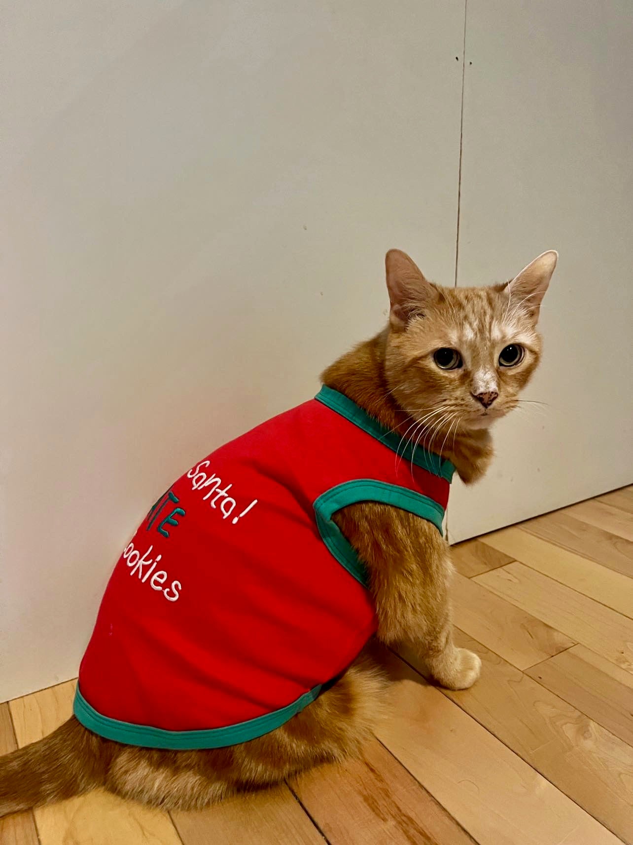 Parisian Pet 'Sorry Santa, I Ate Your Cookies' Christmas Shirt for Pets - Festive Dog & Cat Outfit, Red