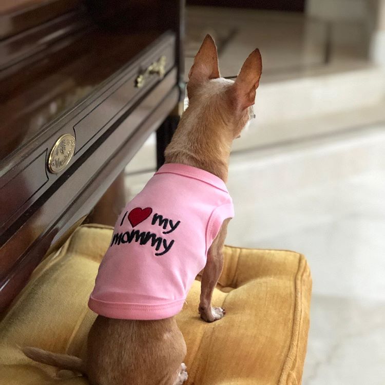 Parisian Pet 'I Love Mommy' Dog & Cat Shirt - Cute Pet T-Shirt, Pink-Valentine's Day