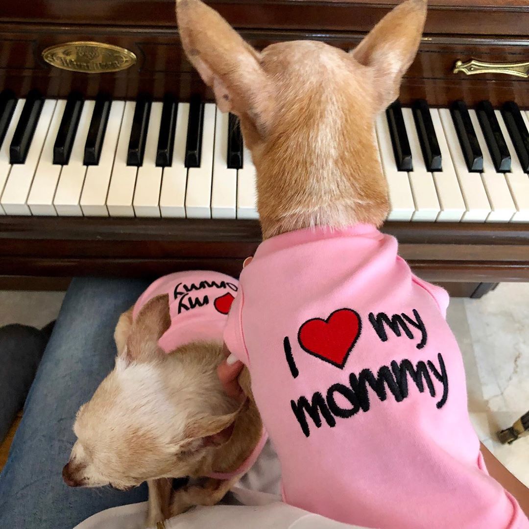 Parisian Pet 'I Love Mommy' Dog & Cat Shirt - Cute Pet T-Shirt, Pink-Valentine's Day