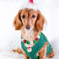 Parisian Pet 'Dear Santa Define Good' Dog Christmas T-Shirt - Festive Pet Shirt for Cats & Dogs, Green