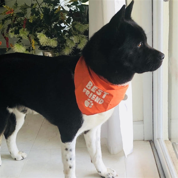 Best Friend Bandana