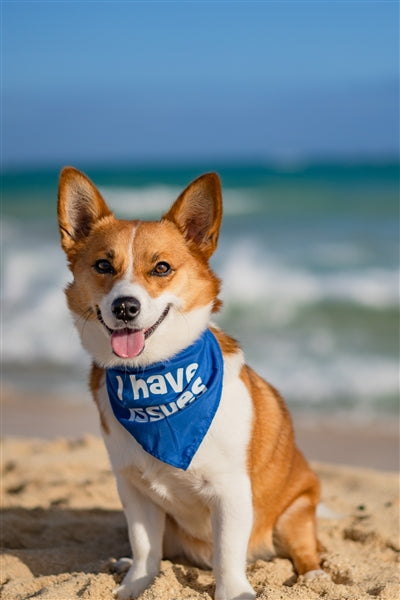 Parisian Pet 'I Have Issues' Bandana for Dogs & Cats - Fun, Comfortable, Blue Fashion Accessory