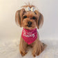 Parisian Pet 'Princess' Bandana for Dogs & Cats - Stylish, Trendy, Comfortable Pink Dog Bandana for Special Occasions