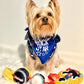 Parisian Pet 'Rock Star' Bandana for Dogs & Cats - Fashionable, Comfortable Blue Pet Bandana for Trendy Pets