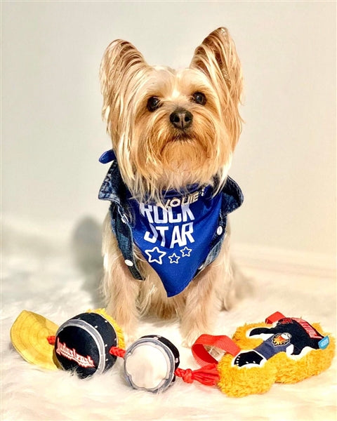 Parisian Pet 'Rock Star' Bandana for Dogs & Cats - Fashionable, Comfortable Blue Pet Bandana for Trendy Pets