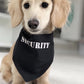 SecurityÂ® Bandana