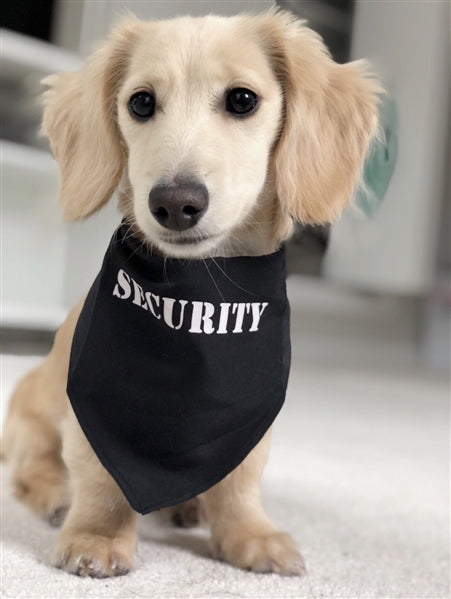 SecurityÂ® Bandana