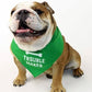 Parisian Pet 'Trouble Maker' Bandana for Dogs & Cats - Fun, Comfortable, Trendy Green Pet Fashion Accessory-Saint Patrick's Day