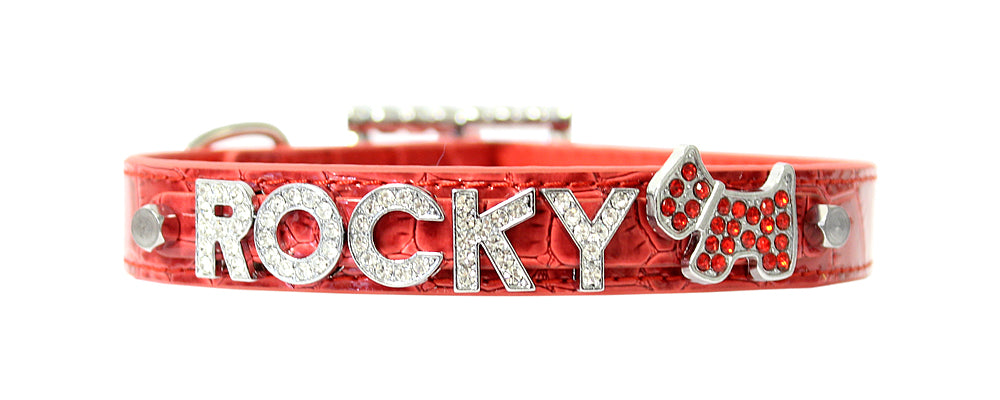 Customized Name for Personalized Collars