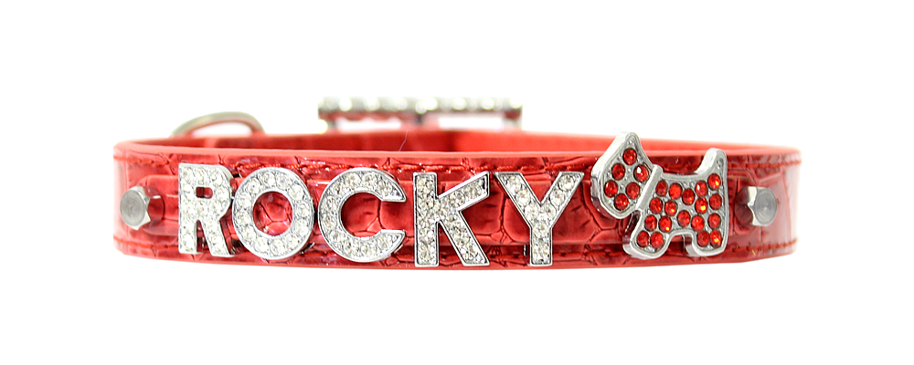 Parisian Pet 'Customized Name for Personalized Collars' for Dogs & Cats – Unique Custom Collar with Name Engraving, Durable Design