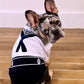 Parisian Pet 'Sailor Dog' Halloween Costume - Navy Blue Sailor Outfit for Dogs & Cats