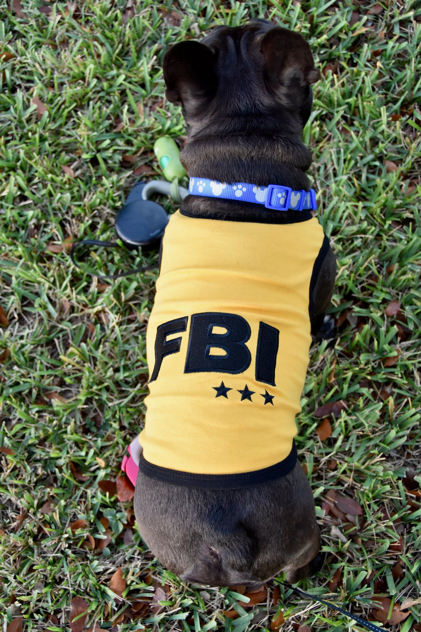 Parisian Pet 'FBI' Funny Slogan Dog Shirt – Trendy Yellow Pet Apparel for Dogs & Cats