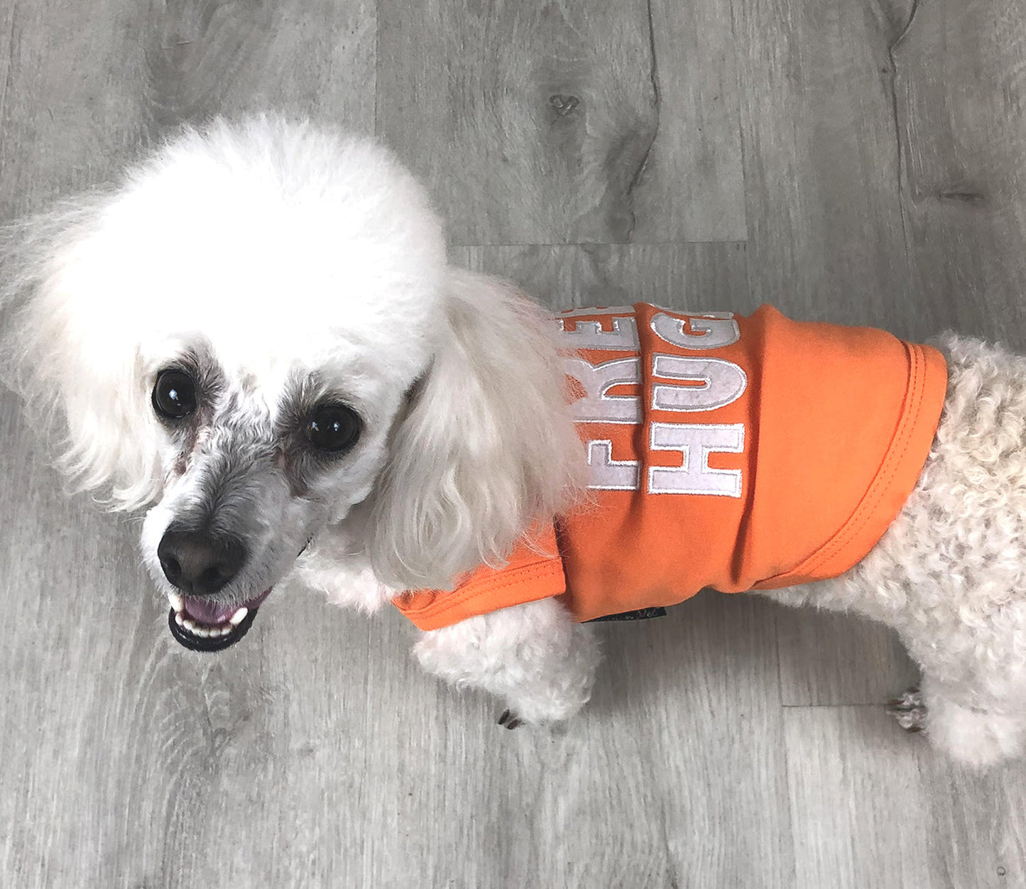 Parisian Pet 'Free Hugs' Embroidered Dog T-Shirt – Trendy Casual Outfit for Small Dogs & Cats, Orange - Valentine's Day