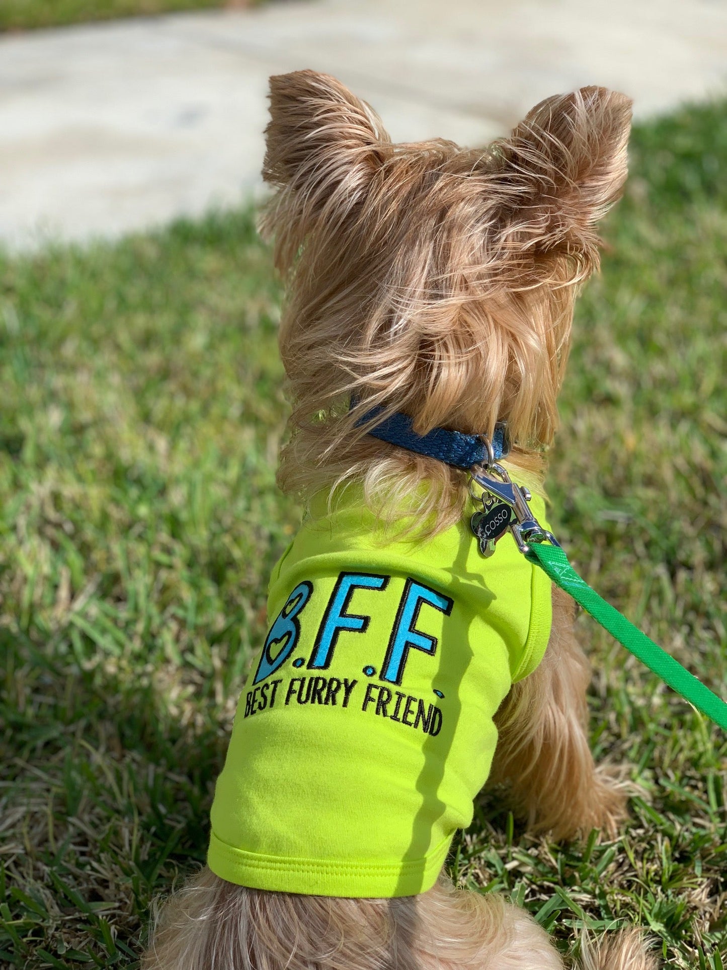 Parisian Pet 'BFF' Comfortable Embroidered Dog Shirt – Trendy Small Dog Casual Shirt for Dogs & Cats-Valentine's Day