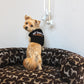 Parisian Pet 'Got Treats?' Novelty Dog Apparel – Fun Embroidered Pet Wear for Dogs & Cats, Black