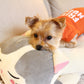 Parisian Pet 'Free Hugs' Embroidered Dog T-Shirt – Trendy Casual Outfit for Small Dogs & Cats, Orange - Valentine's Day