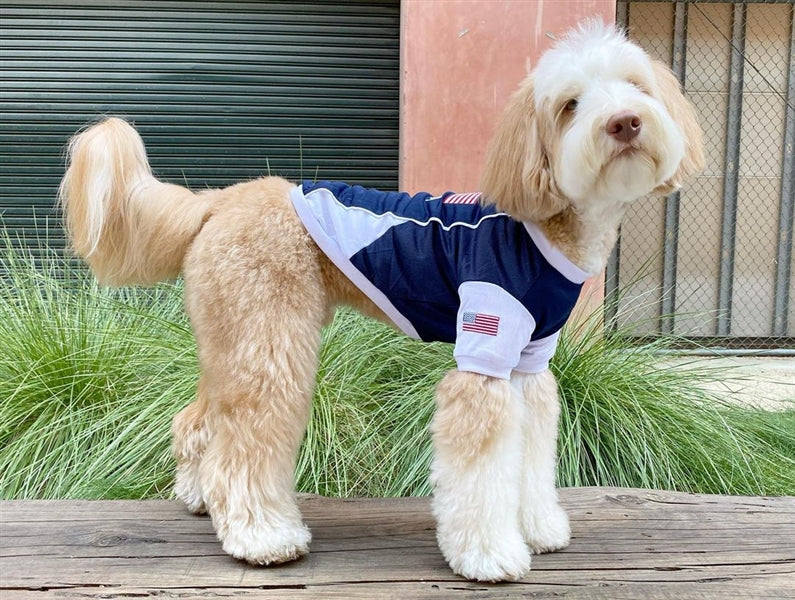 Team USA Jersey