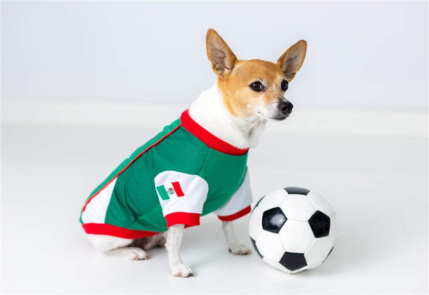 Parisian Pet 'Team Mexico' Dog & Cat T-Shirt – Patriotic Dog Shirt, Perfect for Soccer Fans – Red, White, Green