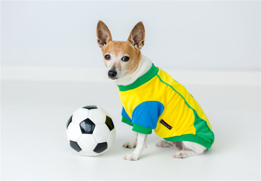 Parisian Pet 'Team Brazil' Dog & Cat Shirt – Embroidered Soccer Jersey, Comfortable & Stylish – Yellow Green