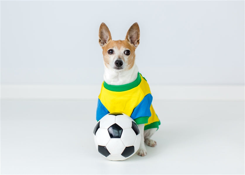 Parisian Pet 'Team Brazil' Dog & Cat Shirt – Embroidered Soccer Jersey, Comfortable & Stylish – Yellow Green