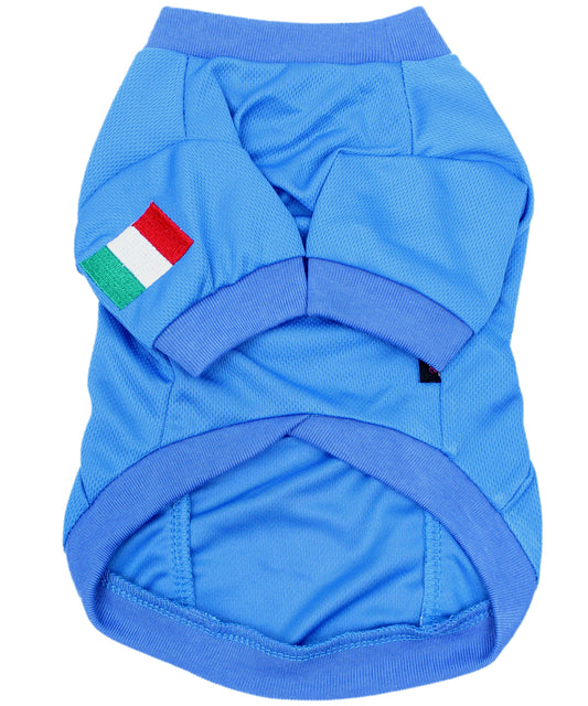 Parisian Pet 'Team Italy' Jersey for Dogs & Cats – Soccer Fan Apparel for Pets, Italy National Team Colors, Blue and White