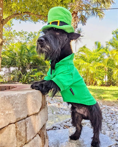 Parisian Pet 'Polo' Dog & Cat Shirt – Comfortable Embroidered Cotton, Trendy Summer Apparel-Saint Patrick's Day