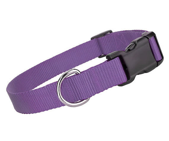 Parisian Pet 'Nylon Collar' for Dogs & Cats – Comfortable Adjustable Fit for Small Pets, Lilac