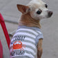 Parisian Pet 'Crabby But Cute Tee' Embroidered Dog Shirt - Trendy Pet Apparel for Dogs & Cats, Gray and White Stripes