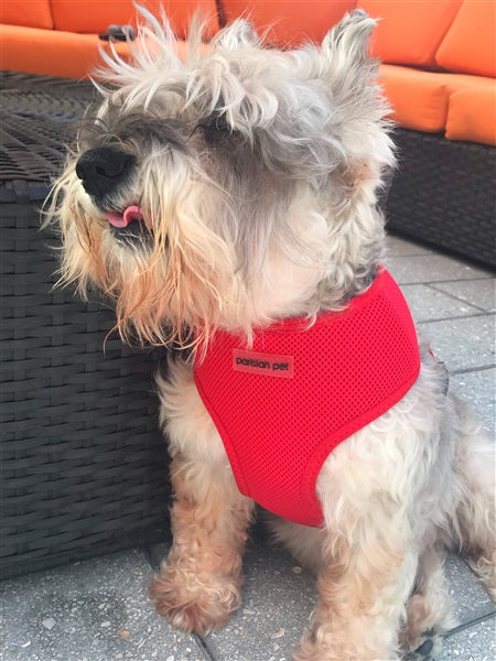 Parisian Pet Mesh Freedom Dog Harness Red Small