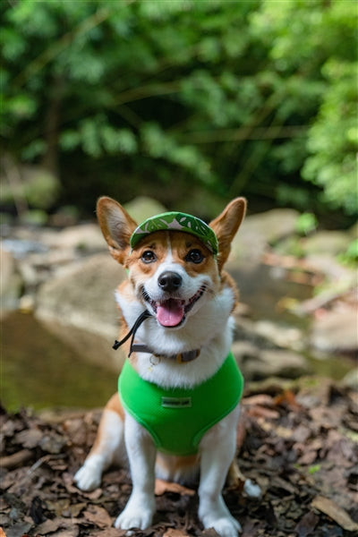 Parisian Pet 'Freedom Harness' for Dogs & Cats – Comfortable and Durable Neon Green Pet Harness-Saint Patrick's Day