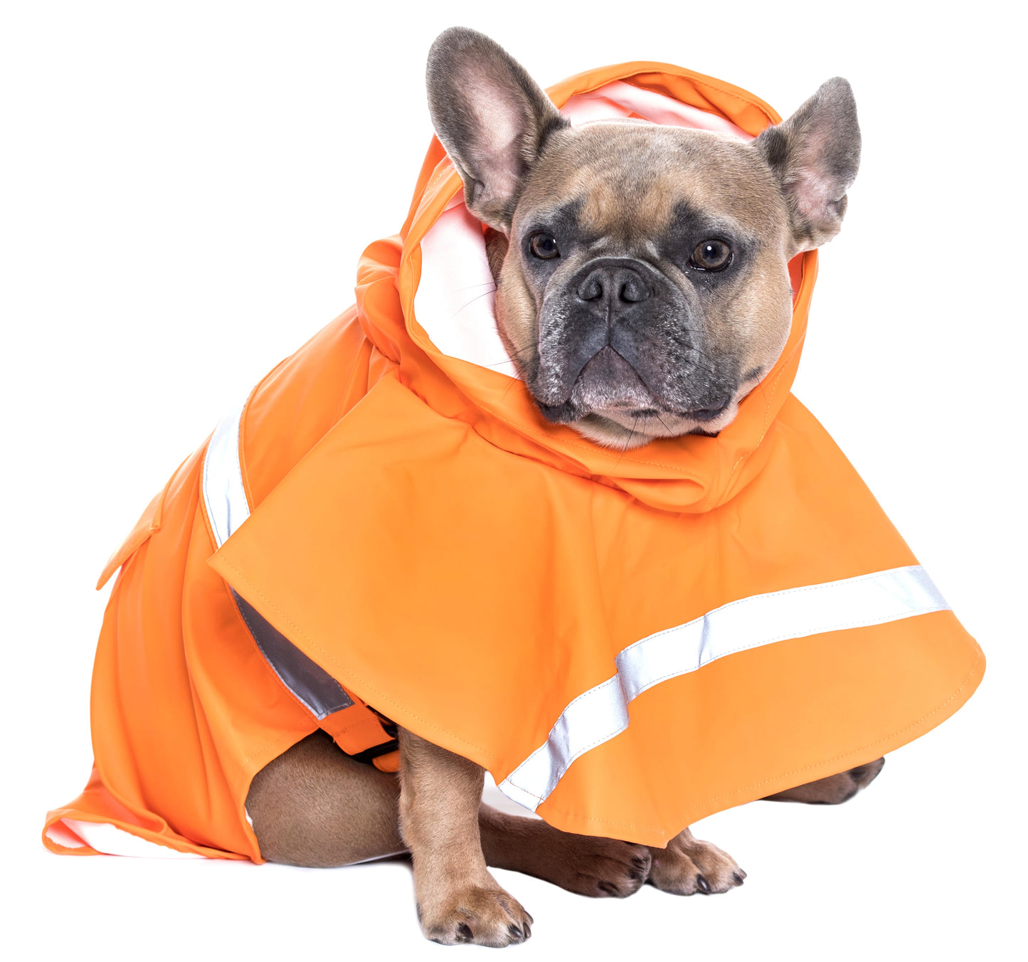 Parisian Pet 'Orange Raincoat' for Dogs & Cats, Waterproof Pet Outerwear, Dog Raincoat for Rain, Pet Rain Protection, Orange