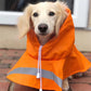 Parisian Pet 'Orange Raincoat' for Dogs & Cats, Waterproof Pet Outerwear, Dog Raincoat for Rain, Pet Rain Protection, Orange