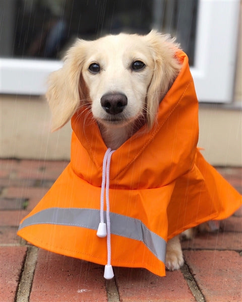 Parisian Pet 'Orange Raincoat' for Dogs & Cats, Waterproof Pet Outerwear, Dog Raincoat for Rain, Pet Rain Protection, Orange