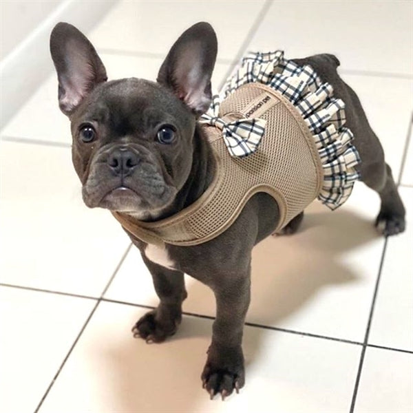 Parisian pet harness best sale