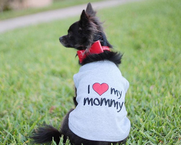 Parisian Pet 'I Love Mommy®' Embroidered Cotton T-shirt for Dogs & Cats – Gray-Valentine's Day