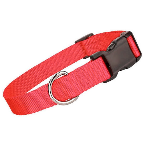 Nylon Dog Collar Red