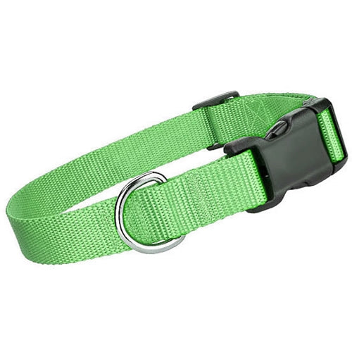 Nylon Dog Collar Green